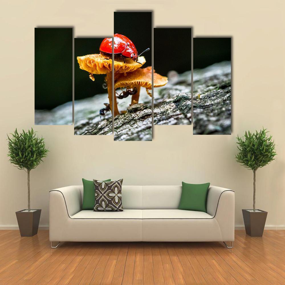 Ladybug On Mushroom Canvas Wall Art-5 Pop-Gallery Wrap-47" x 32"-Tiaracle
