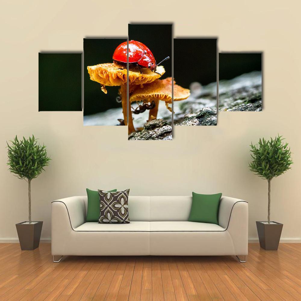 Ladybug On Mushroom Canvas Wall Art-5 Star-Gallery Wrap-62" x 32"-Tiaracle