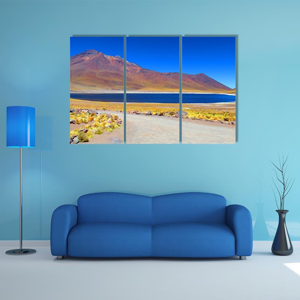 Laguna Miniques Canvas Wall Art-4 Pop-Gallery Wrap-50" x 32"-Tiaracle