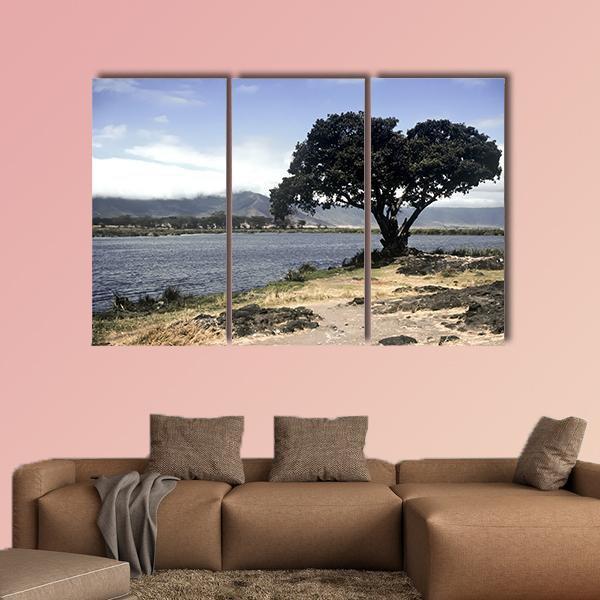 Lake & Tree In Ngorongoro Canvas Wall Art-3 Horizontal-Gallery Wrap-25" x 16"-Tiaracle