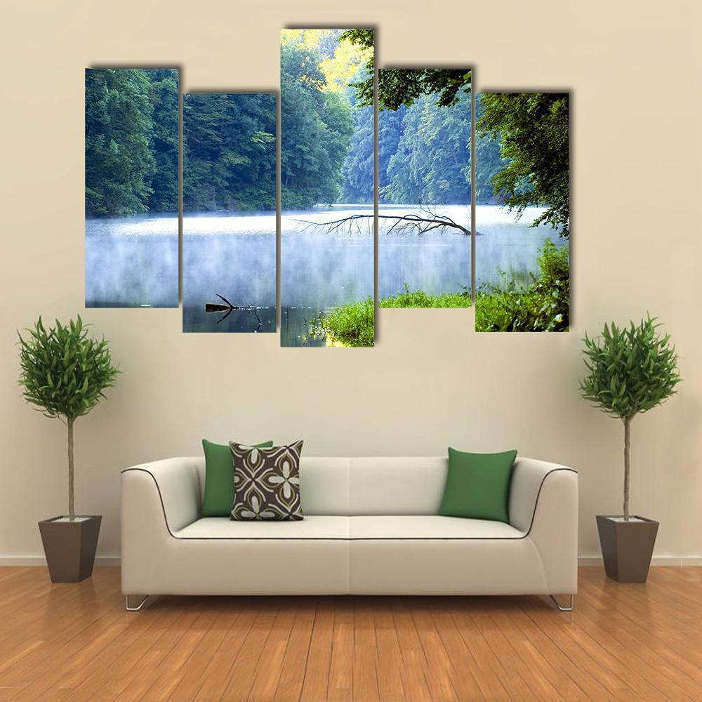 Lake Forest In Morning Canvas Wall Art-5 Pop-Gallery Wrap-47" x 32"-Tiaracle