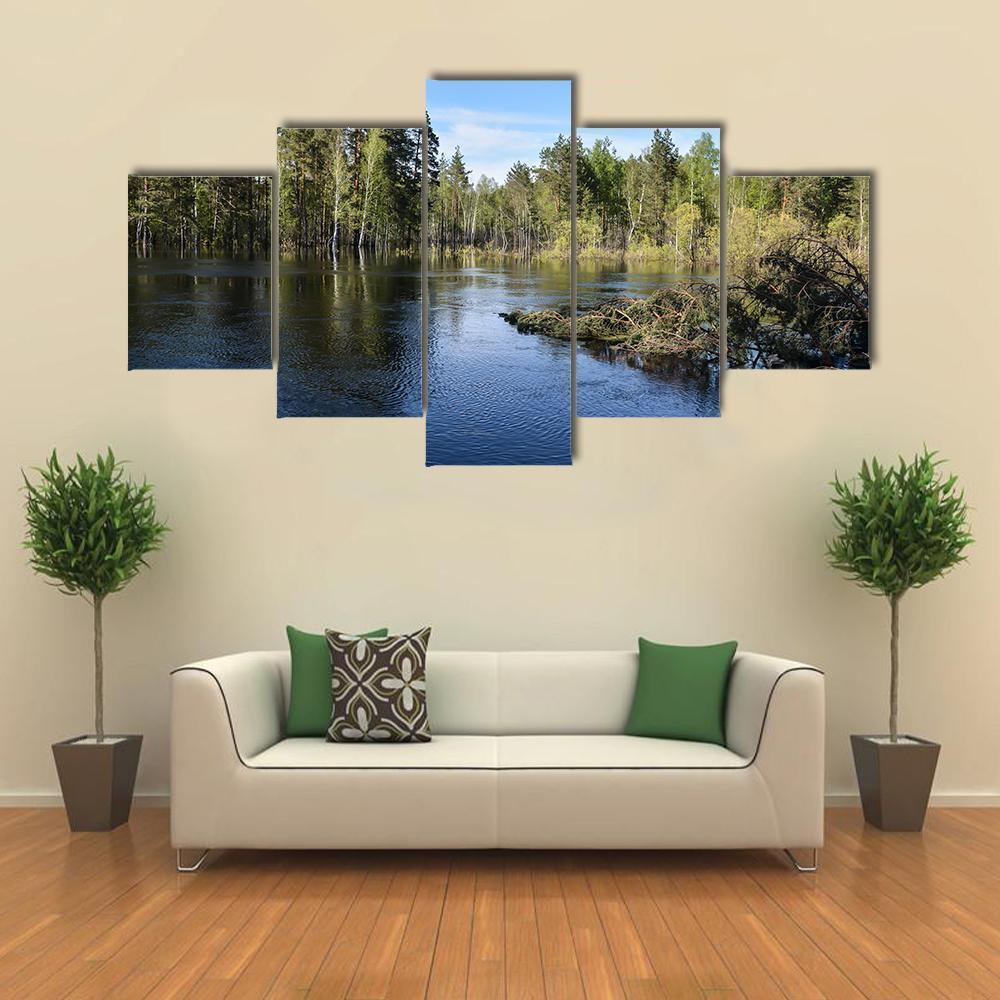 Lake In National Park Russia Canvas Wall Art-5 Star-Gallery Wrap-62" x 32"-Tiaracle