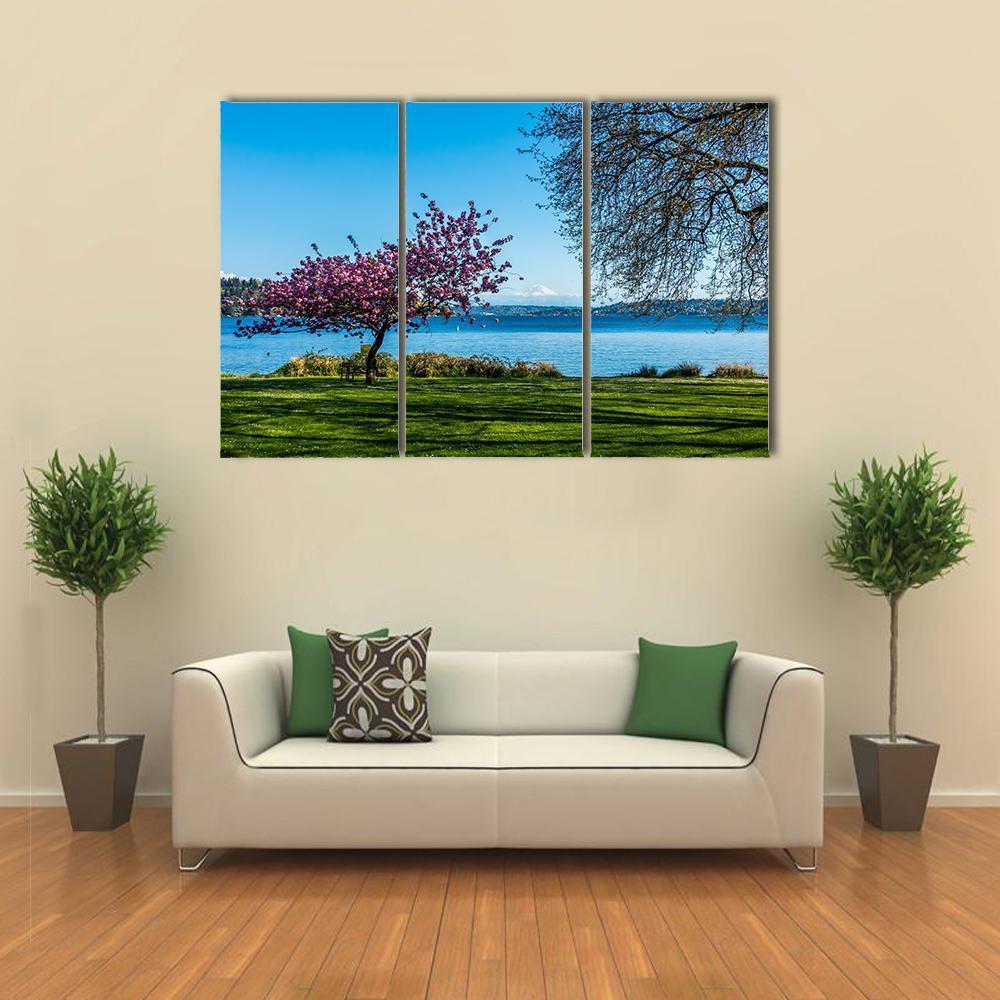 Cherry Tree Near Lake Canvas Wall Art-3 Horizontal-Gallery Wrap-37" x 24"-Tiaracle