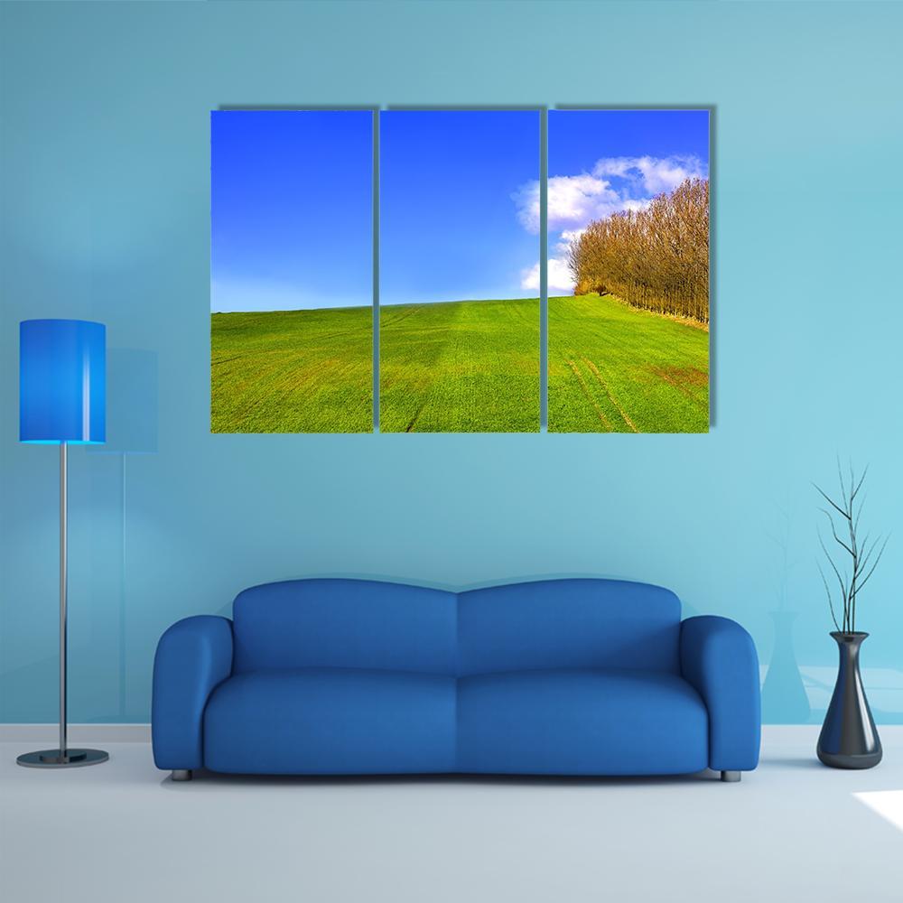 Landscape In Denmark Early Spring Canvas Wall Art-3 Horizontal-Gallery Wrap-37" x 24"-Tiaracle