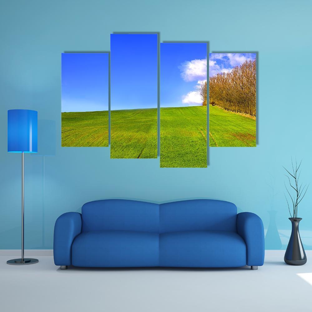 Landscape In Denmark Early Spring Canvas Wall Art-4 Pop-Gallery Wrap-50" x 32"-Tiaracle
