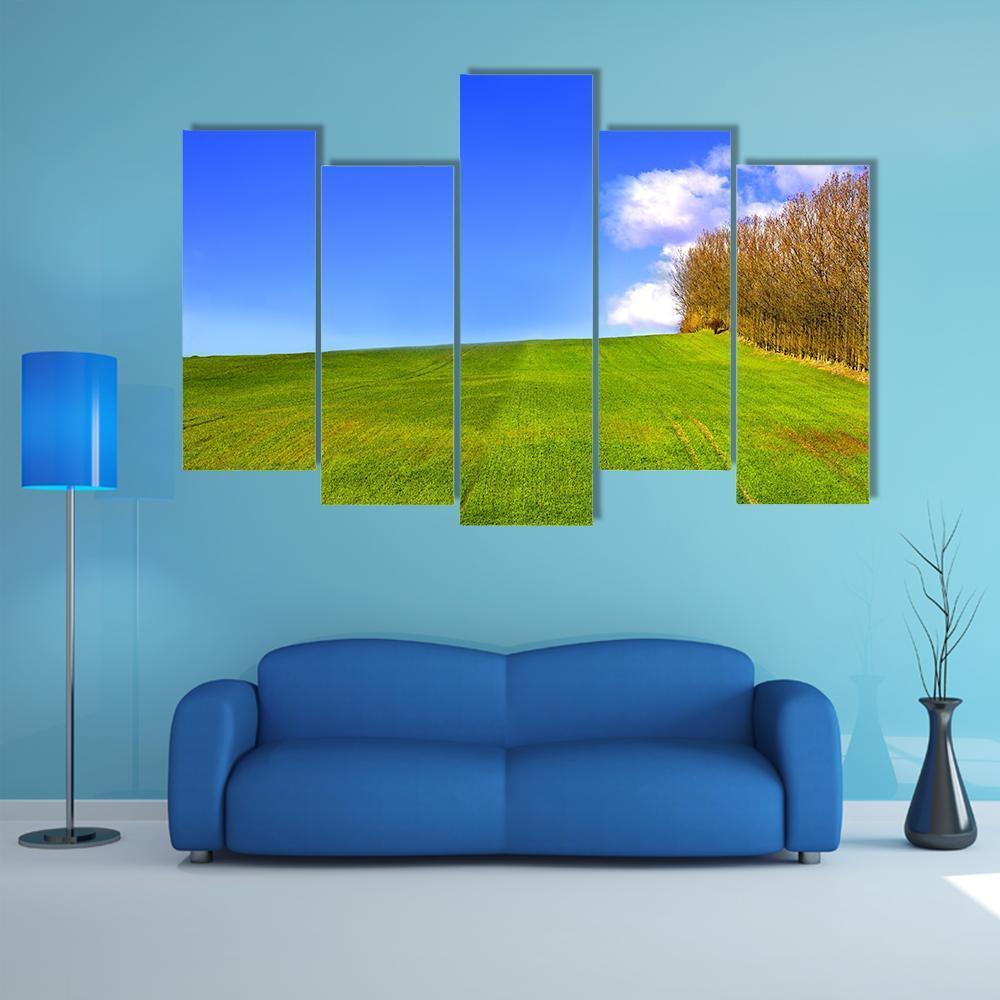 Landscape In Denmark Early Spring Canvas Wall Art-5 Pop-Gallery Wrap-47" x 32"-Tiaracle