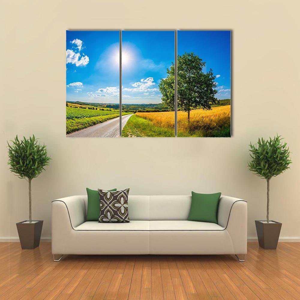 Sun Over Corn Field Canvas Wall Art-3 Horizontal-Gallery Wrap-37" x 24"-Tiaracle