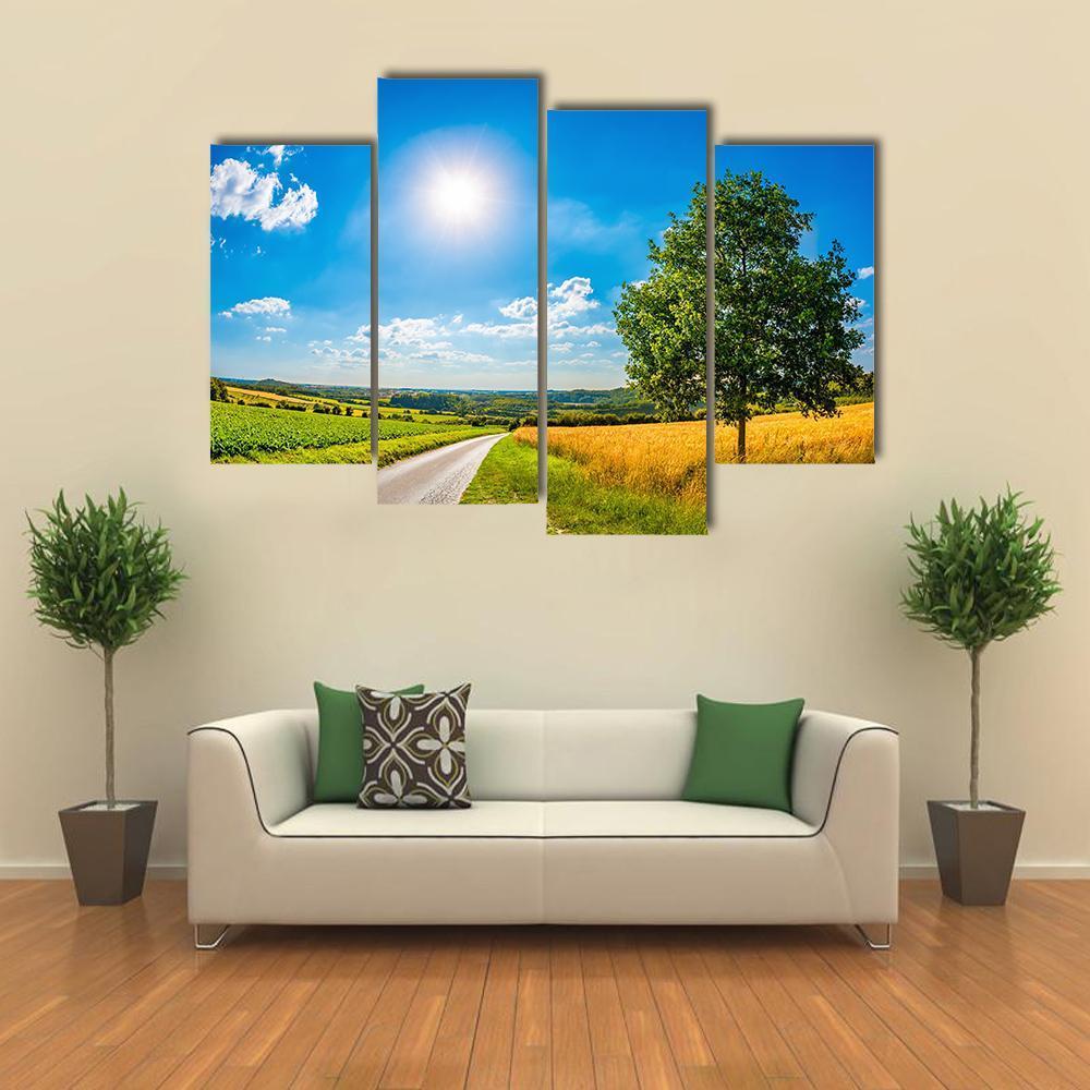 Sun Over Corn Field Canvas Wall Art-4 Pop-Gallery Wrap-50" x 32"-Tiaracle
