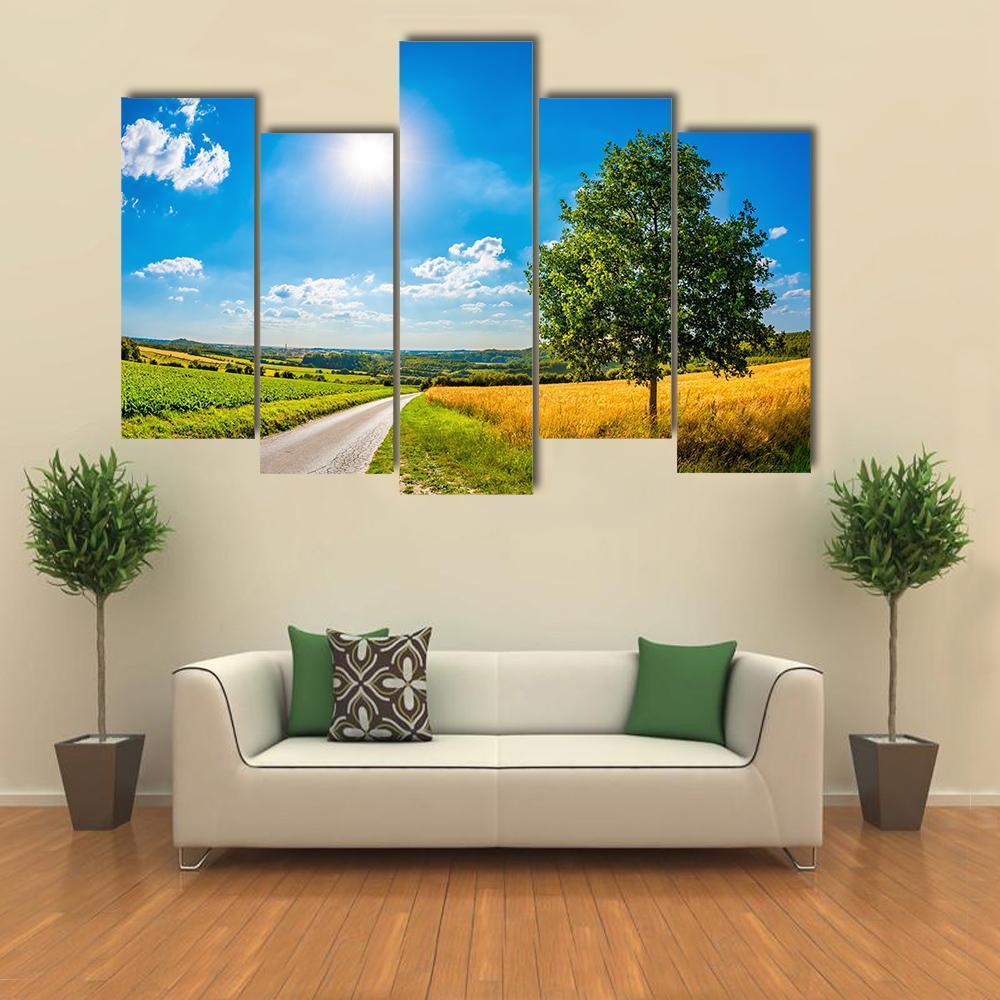 Sun Over Corn Field Canvas Wall Art-5 Pop-Gallery Wrap-47" x 32"-Tiaracle