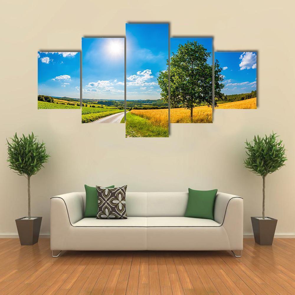 Sun Over Corn Field Canvas Wall Art-5 Star-Gallery Wrap-62" x 32"-Tiaracle