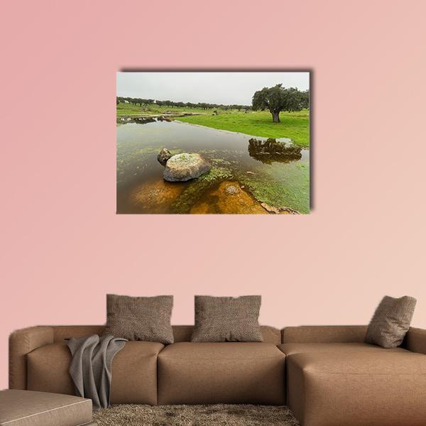 Pond In Extremadura Spain Canvas Wall Art-3 Horizontal-Gallery Wrap-37" x 24"-Tiaracle