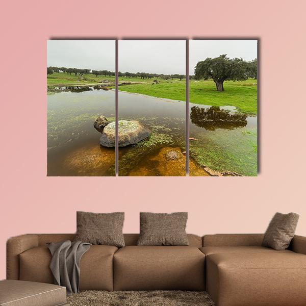 Pond In Extremadura Spain Canvas Wall Art-3 Horizontal-Gallery Wrap-37" x 24"-Tiaracle