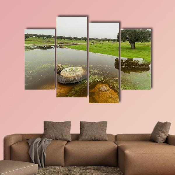 Pond In Extremadura Spain Canvas Wall Art-4 Pop-Gallery Wrap-50" x 32"-Tiaracle