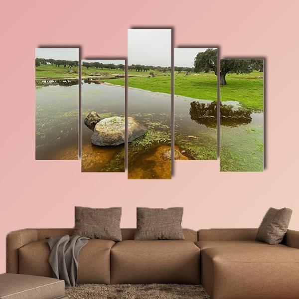 Pond In Extremadura Spain Canvas Wall Art-5 Pop-Gallery Wrap-47&quot; x 32&quot;-Tiaracle