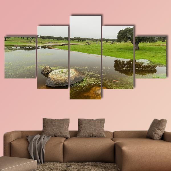 Pond In Extremadura Spain Canvas Wall Art-5 Star-Gallery Wrap-62" x 32"-Tiaracle