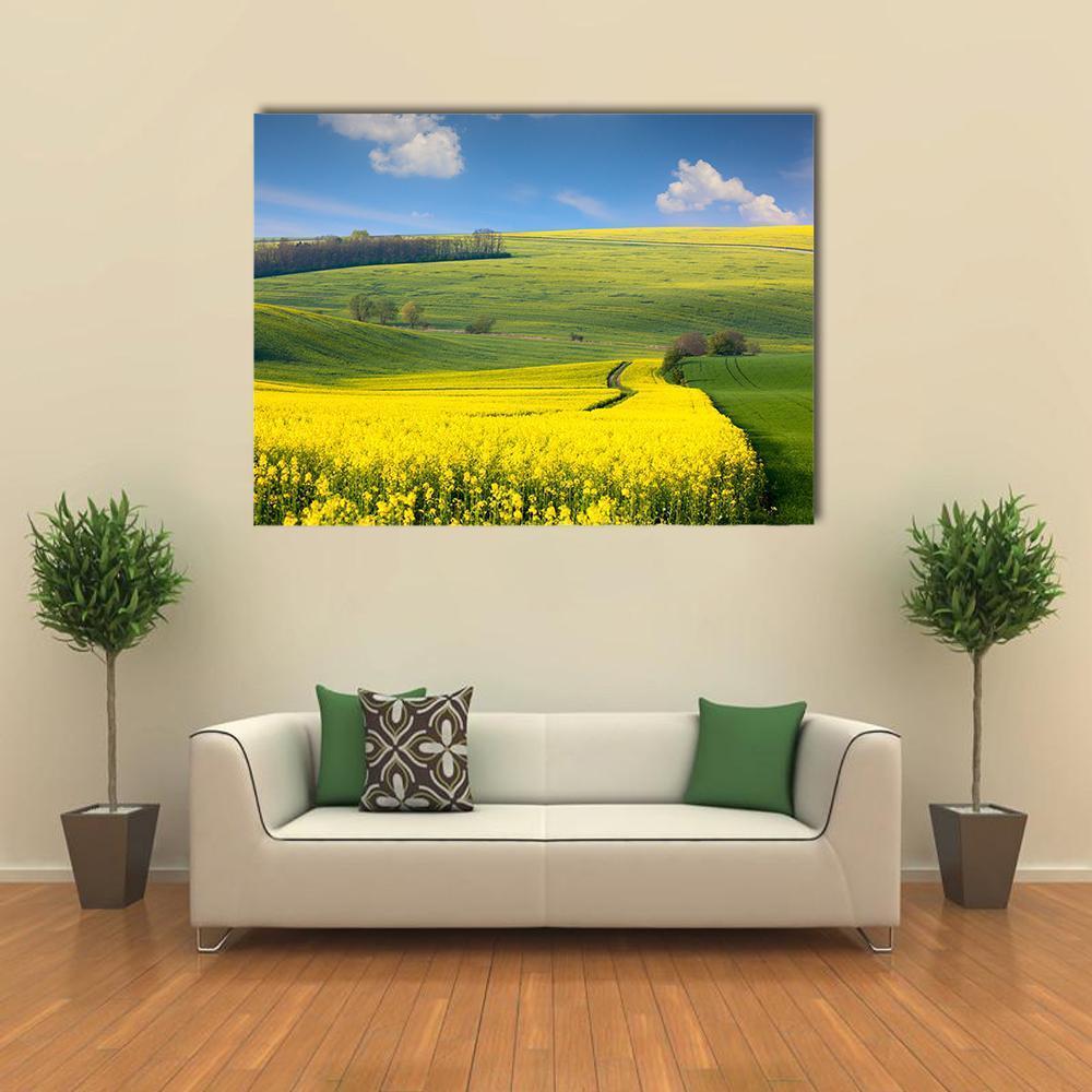Canola Field on Rolling Hills Canvas Wall Art in yellow, green and blue, single panel hung on a wall
