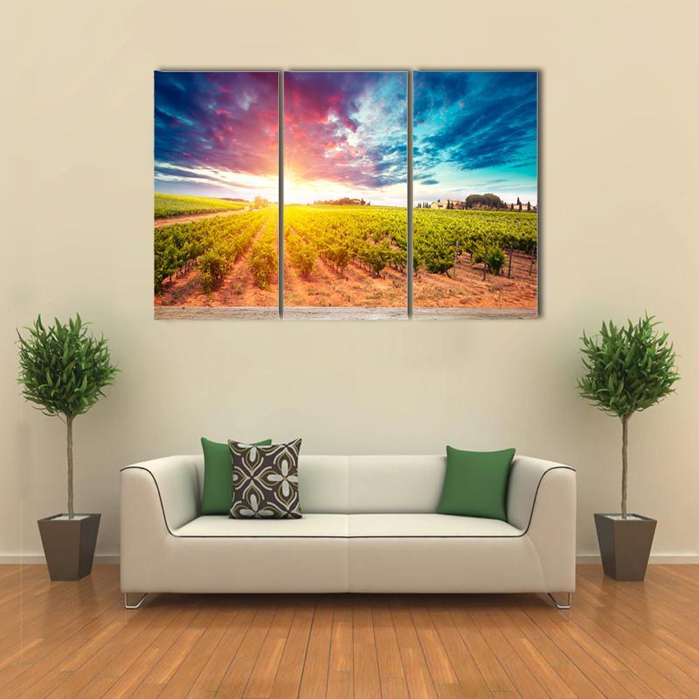Field In Tuscany Canvas Wall Art-3 Horizontal-Gallery Wrap-37" x 24"-Tiaracle