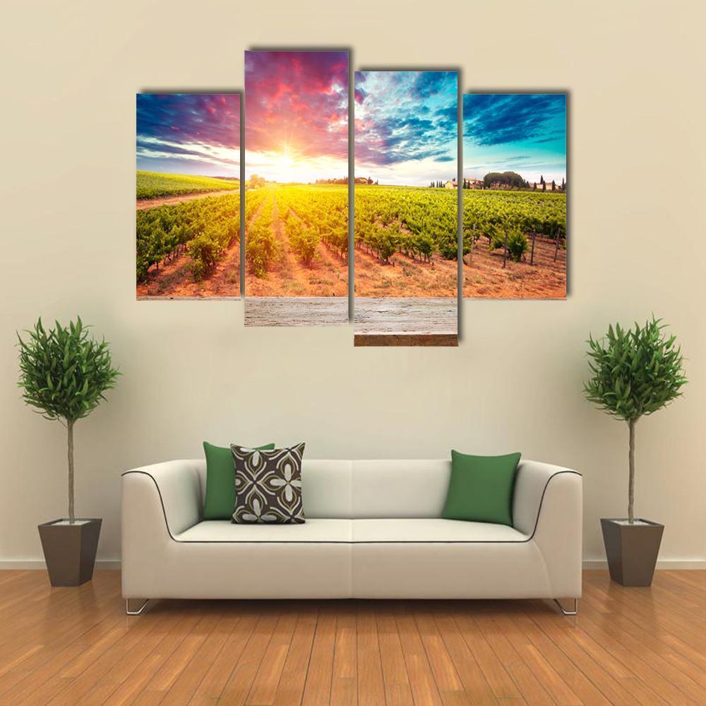 Field In Tuscany Canvas Wall Art-4 Pop-Gallery Wrap-50" x 32"-Tiaracle