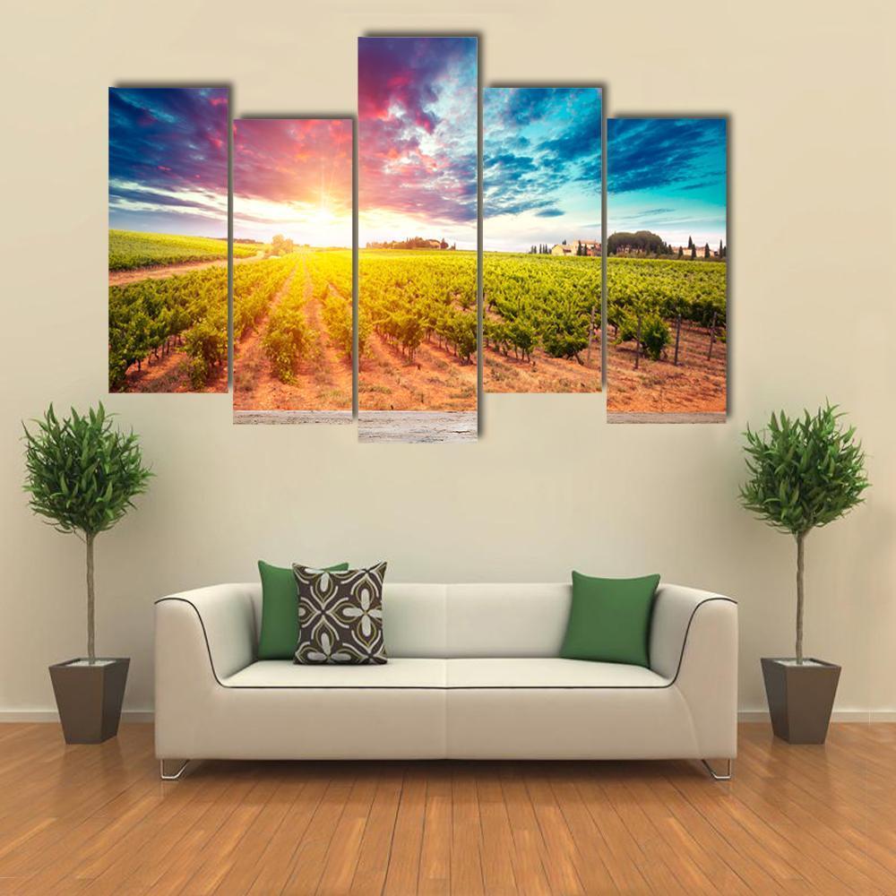 Field In Tuscany Canvas Wall Art-5 Pop-Gallery Wrap-47" x 32"-Tiaracle