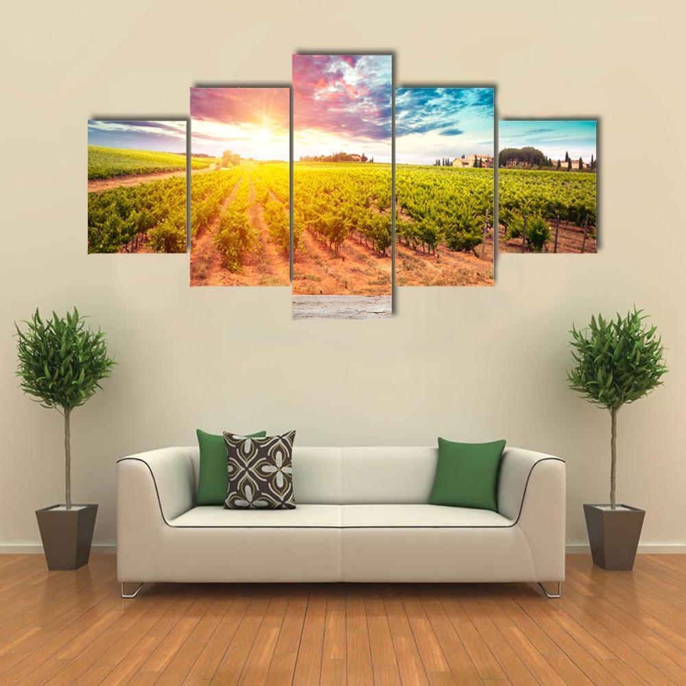 Field In Tuscany Canvas Wall Art-5 Star-Gallery Wrap-62" x 32"-Tiaracle