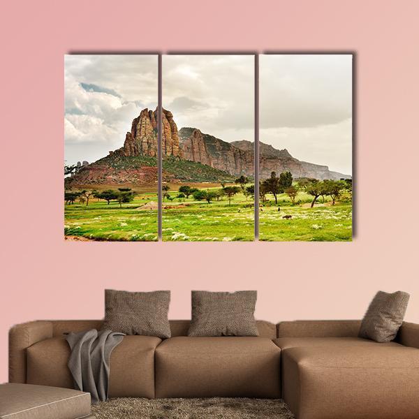 Landscape Of Tigray Canvas Wall Art-3 Horizontal-Gallery Wrap-37" x 24"-Tiaracle