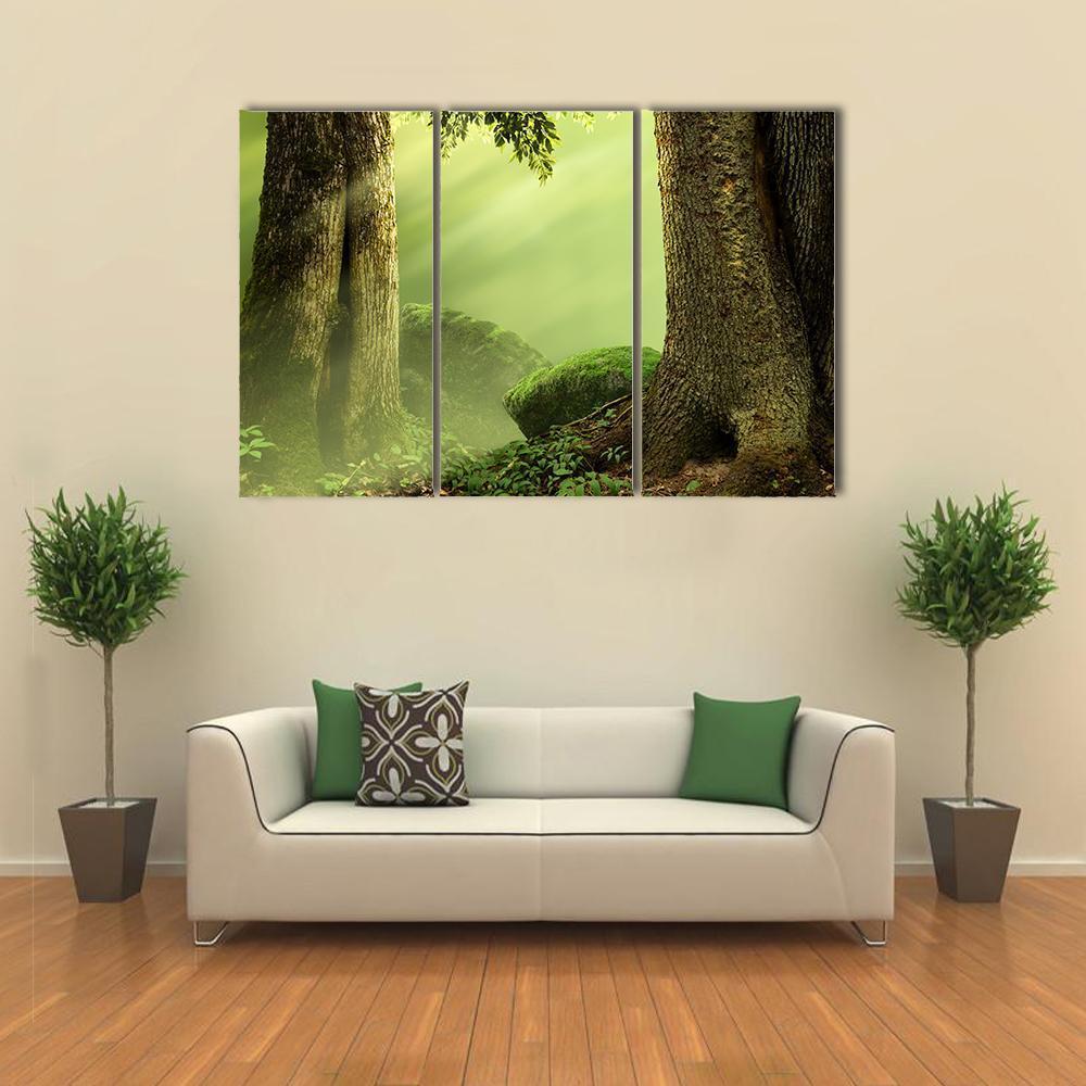 Old Mossy Trees Canvas Wall Art-3 Horizontal-Gallery Wrap-37" x 24"-Tiaracle