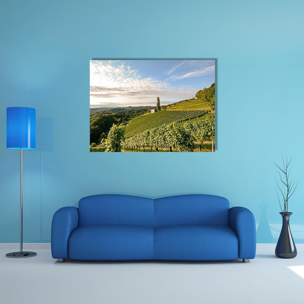 Vineyard House with Grape Rows Canvas Wall Art in white, green and blue, single panel hung on a wall