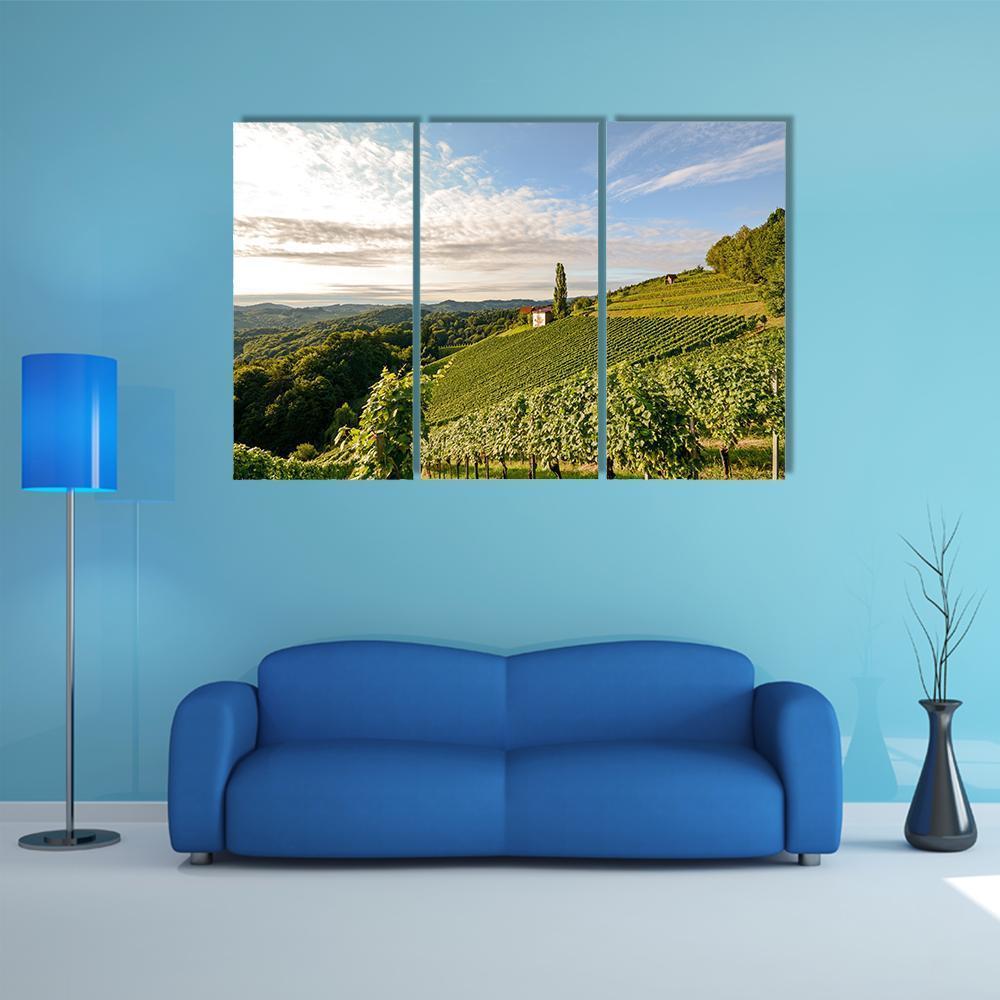 Wine Grapes In Vineyard Canvas Wall Art-3 Horizontal-Gallery Wrap-37" x 24"-Tiaracle