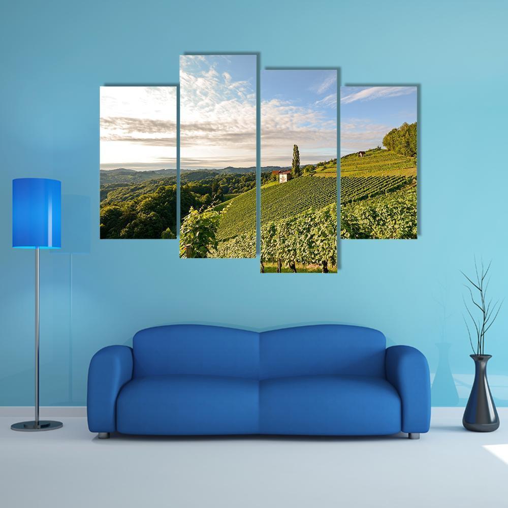 Wine Grapes In Vineyard Canvas Wall Art-4 Pop-Gallery Wrap-50" x 32"-Tiaracle