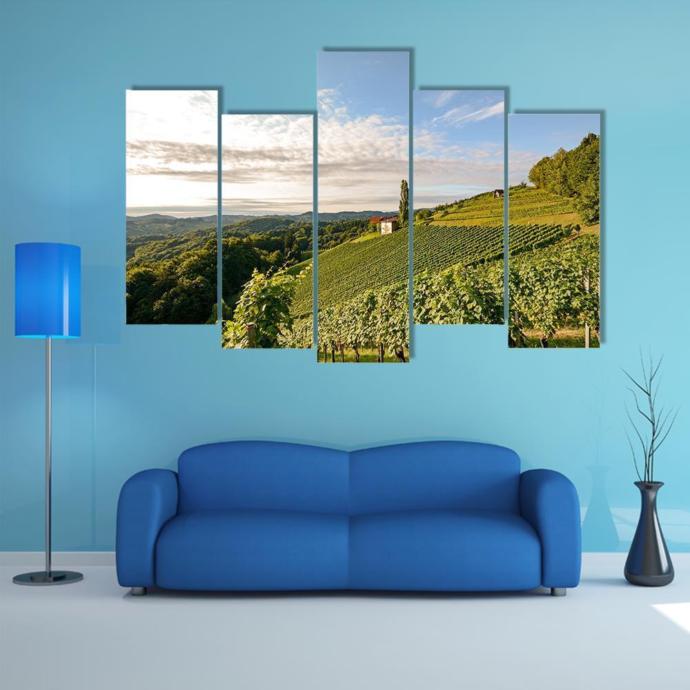 Wine Grapes In Vineyard Canvas Wall Art-5 Pop-Gallery Wrap-47" x 32"-Tiaracle