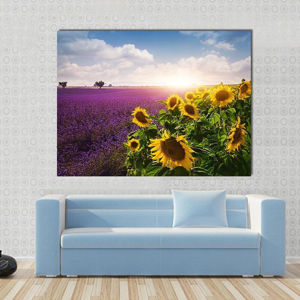 Lavender &amp; Sunflower Fields Canvas Wall Art in yellow, blue and purple, single panel hung on a wall