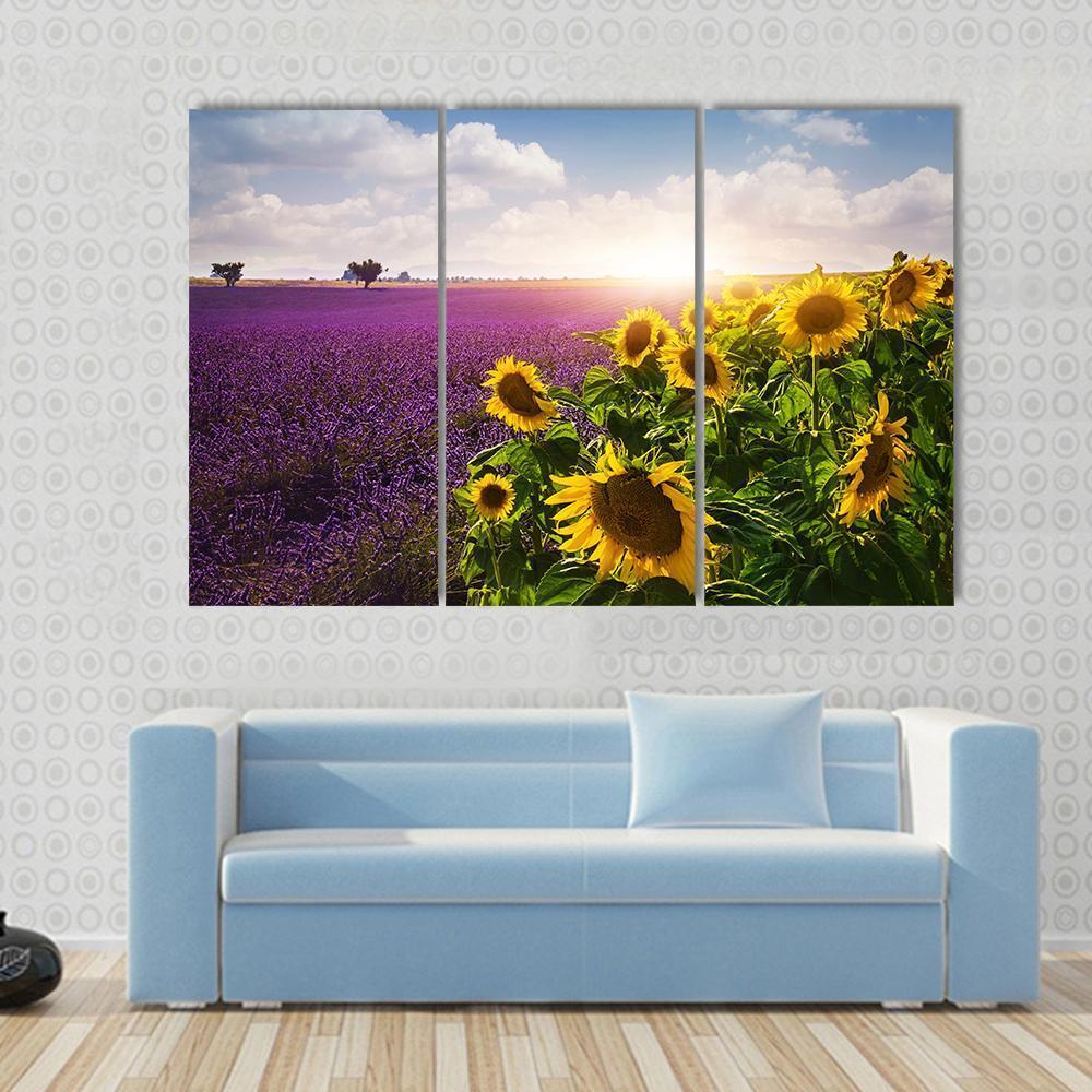 Lavender &amp; Sunflowers Fields Canvas Wall Art-3 Horizontal-Gallery Wrap-37&quot; x 24&quot;-Tiaracle