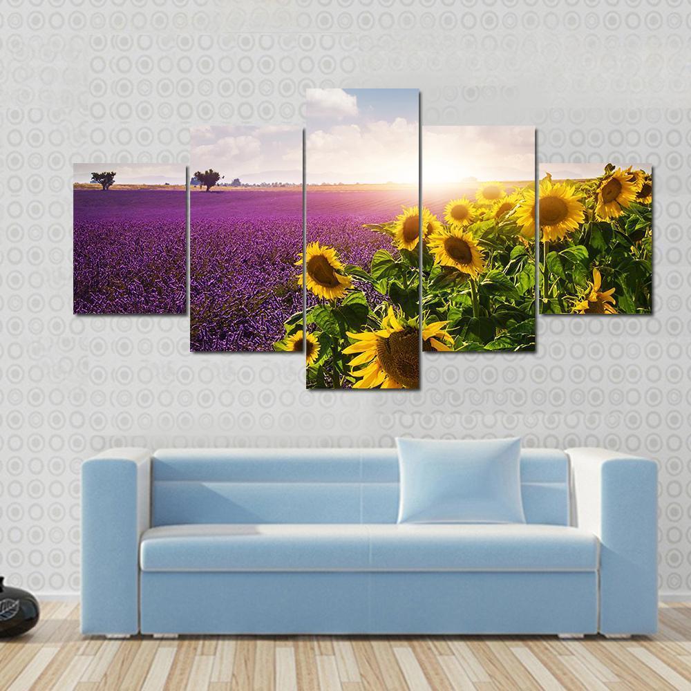 Lavender & Sunflowers Fields Canvas Wall Art-3 Horizontal-Gallery Wrap-37" x 24"-Tiaracle