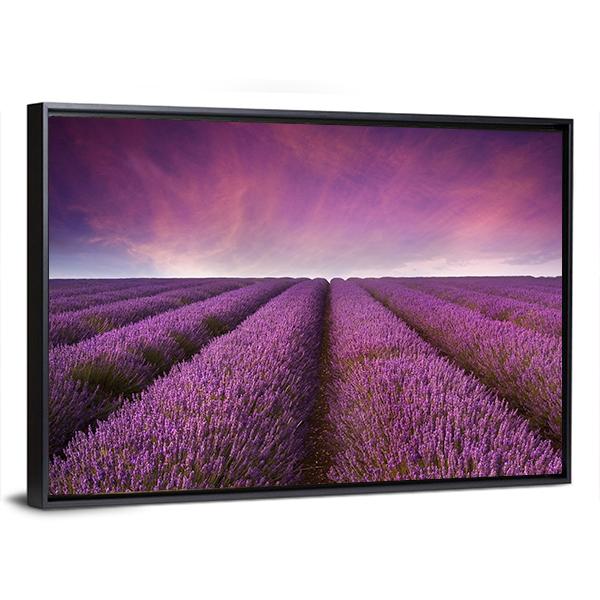 Lavender Field At Sunset Canvas Wall Art-5 Horizontal-Gallery Wrap-22" x 12"-Tiaracle