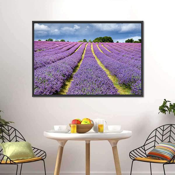 Lavender Field Canvas Wall Art-5 Horizontal-Gallery Wrap-22" x 12"-Tiaracle