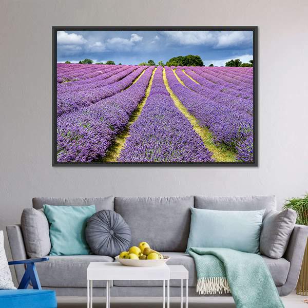 Lavender Field Canvas Wall Art-5 Horizontal-Gallery Wrap-22" x 12"-Tiaracle