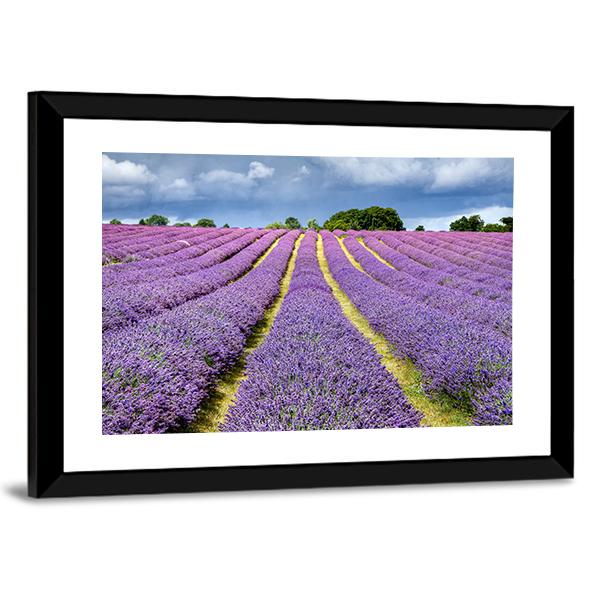 Lavender Field Canvas Wall Art-5 Horizontal-Gallery Wrap-22" x 12"-Tiaracle