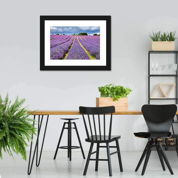 Lavender Field Canvas Wall Art-5 Horizontal-Gallery Wrap-22" x 12"-Tiaracle
