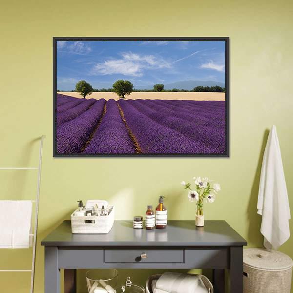 Lavender Field France Canvas Wall Art-1 Piece-Floating Frame-24" x 16"-Tiaracle