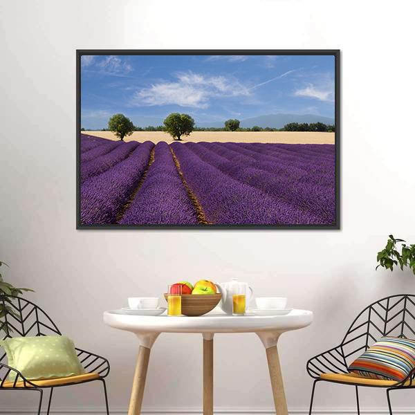Lavender Field France Canvas Wall Art-3 Horizontal-Gallery Wrap-25" x 16"-Tiaracle
