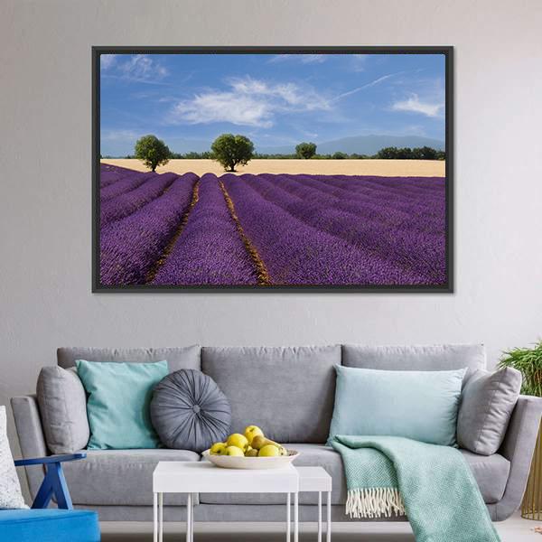 Lavender Field France Canvas Wall Art-3 Horizontal-Gallery Wrap-25" x 16"-Tiaracle