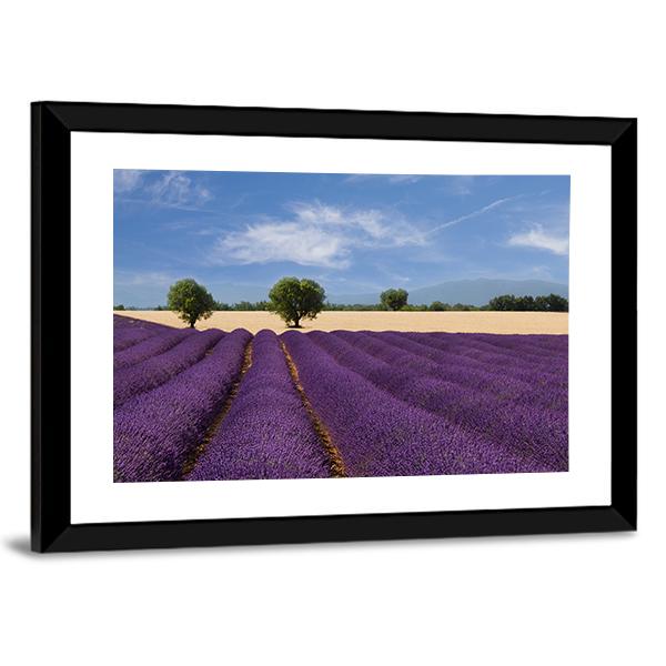 Lavender Field France Canvas Wall Art-3 Horizontal-Gallery Wrap-25" x 16"-Tiaracle