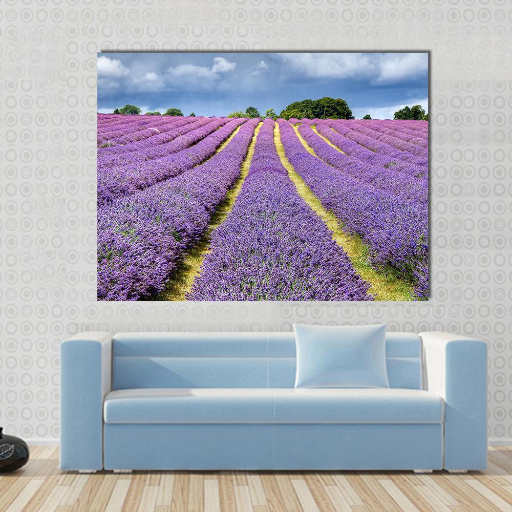Lavender Field Canvas Wall Art in green, blue and purple, single panel hung on a wall