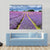 Lavender Field Canvas Wall Art-5 Pop-Gallery Wrap-47" x 32"-Tiaracle