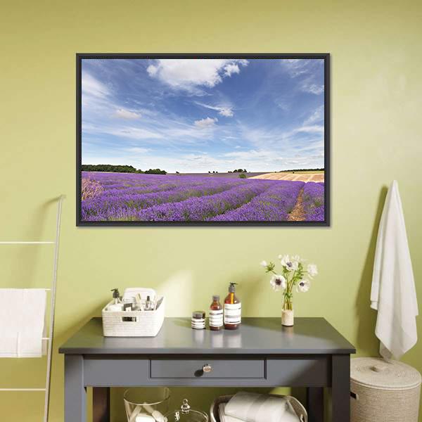 Lavender Field In Cotswolds Canvas Wall Art-1 Piece-Floating Frame-24" x 16"-Tiaracle