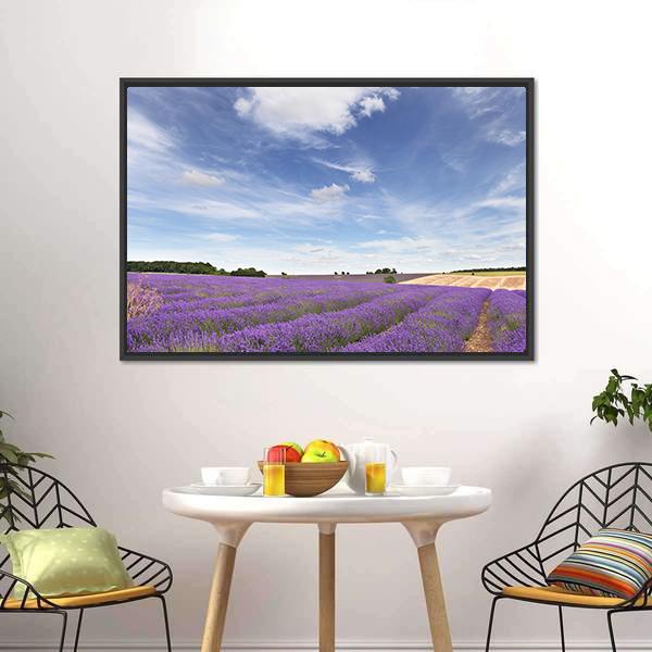 Lavender Field In Cotswolds Canvas Wall Art-3 Horizontal-Gallery Wrap-25" x 16"-Tiaracle