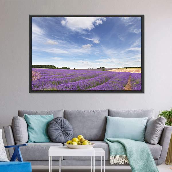 Lavender Field In Cotswolds Canvas Wall Art-3 Horizontal-Gallery Wrap-25" x 16"-Tiaracle