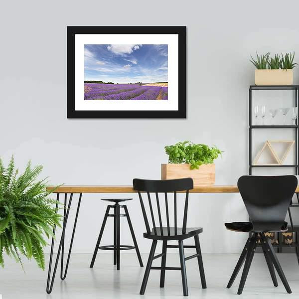 Lavender Field In Cotswolds Canvas Wall Art-3 Horizontal-Gallery Wrap-25" x 16"-Tiaracle