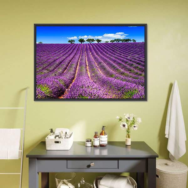Lavender Field In France Canvas Wall Art-1 Piece-Floating Frame-24" x 16"-Tiaracle