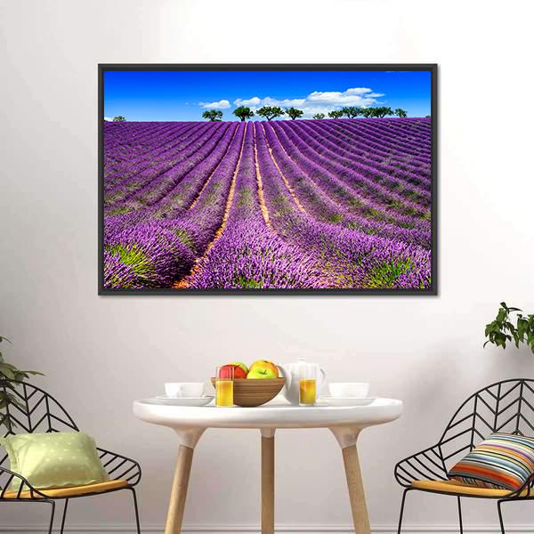 Lavender Field In France Canvas Wall Art-3 Horizontal-Gallery Wrap-25" x 16"-Tiaracle